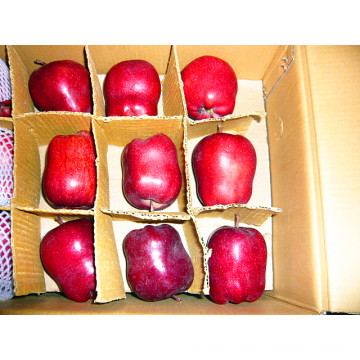 Hochwertiger China Fresh Huaniu Apfel
